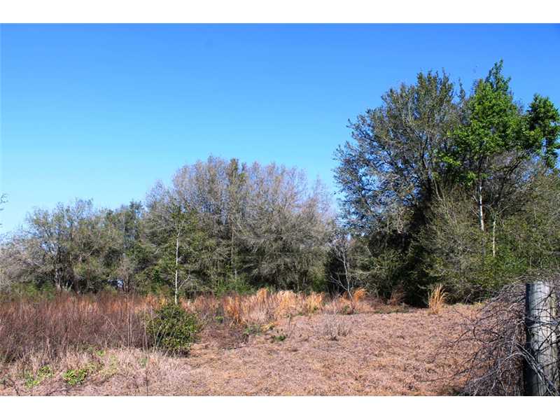 C R 561, Clermont, FL 34711