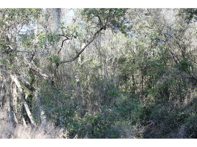 C R 561, Clermont, FL 34711
