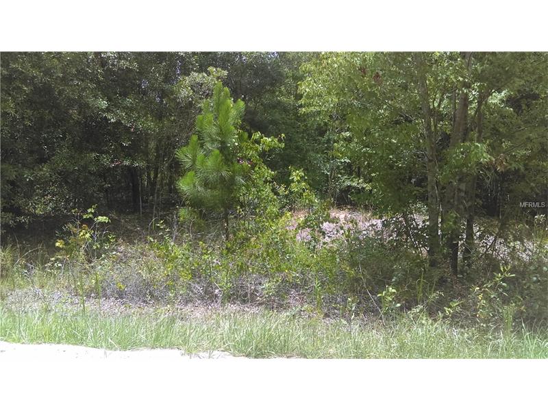 BERRY GROVES ROAD, Clermont, FL 34711