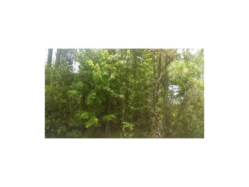 BERRY GROVES ROAD, Clermont, FL 34711
