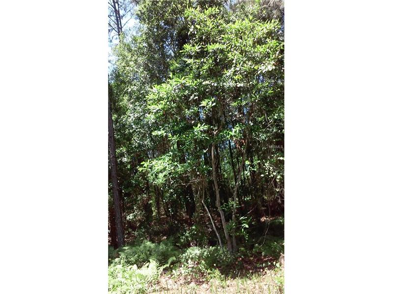 BERRY GROVES ROAD, Clermont, FL 34711