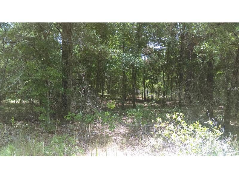 BERRY GROVES ROAD, Clermont, FL 34711