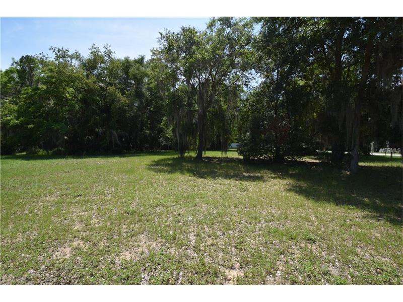 MINNEHAHA AVE, Clermont, FL 34711