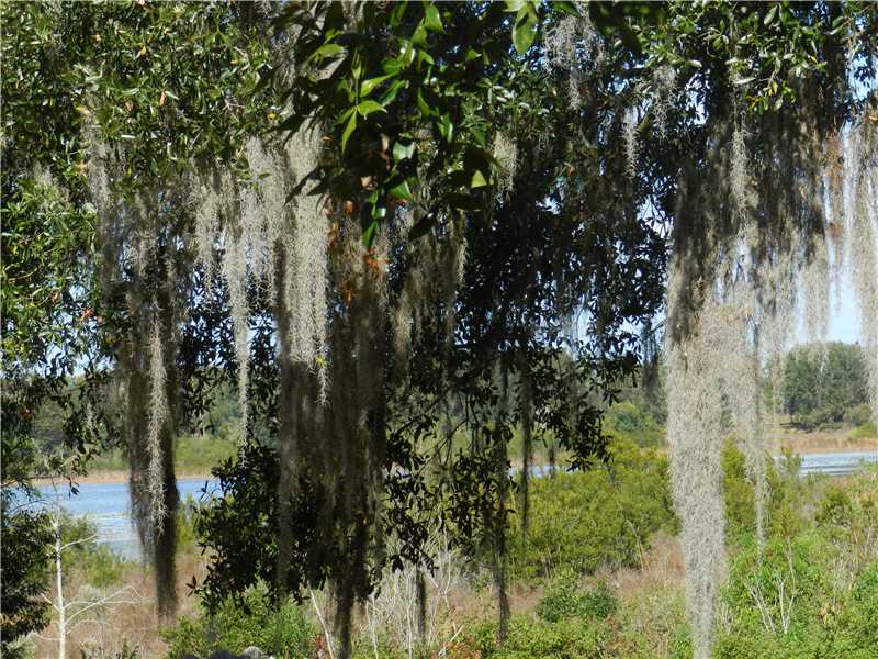 JACK UNDERWOOD, Clermont, FL 34711