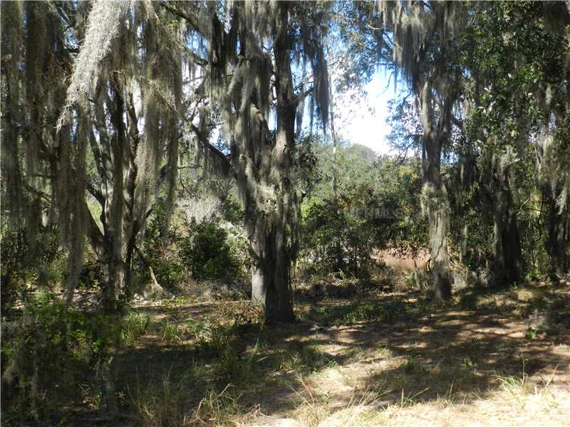 JACK UNDERWOOD, Clermont, FL 34711