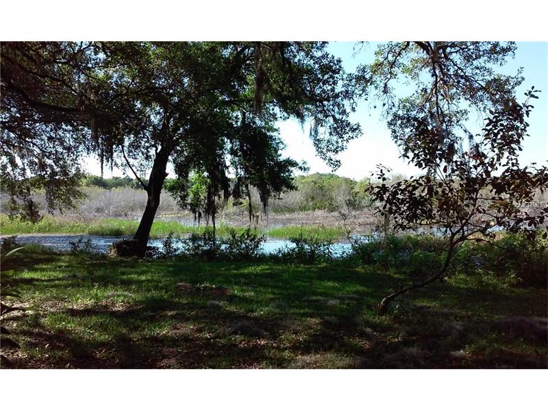 9850 SEVEN OAKS DRIVE, Clermont, FL 34711