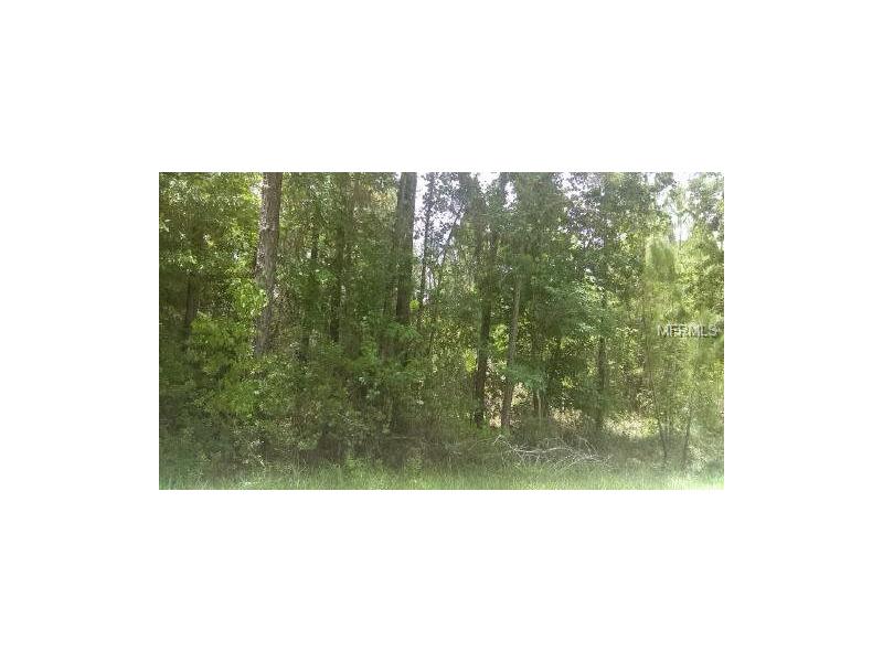 BERRY GROVES ROAD, Clermont, FL 34711