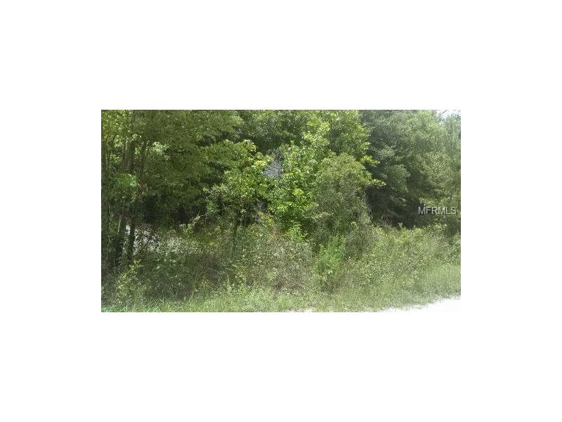 BERRY GROVES ROAD, Clermont, FL 34711