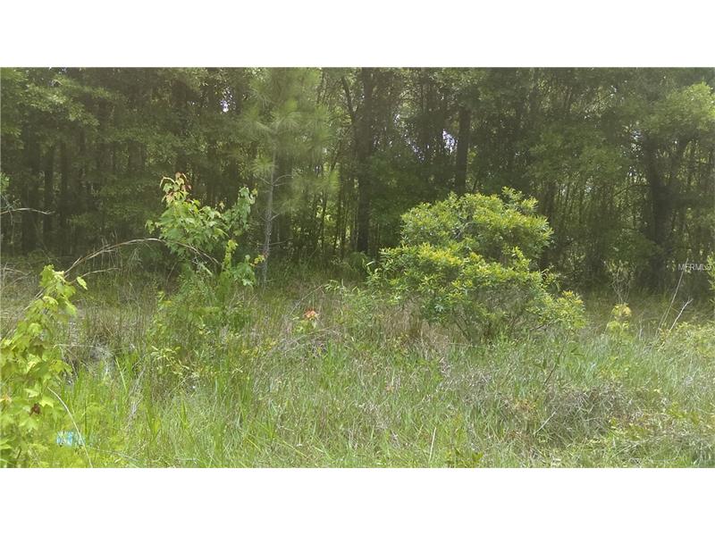 BERRY GROVES RD, Clermont, FL 34711