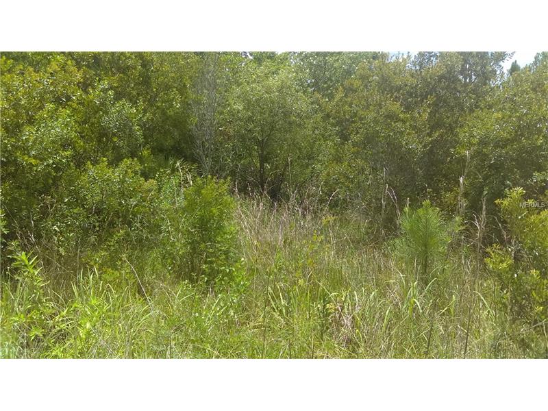 BERRY GROVES ROAD, Clermont, FL 34711