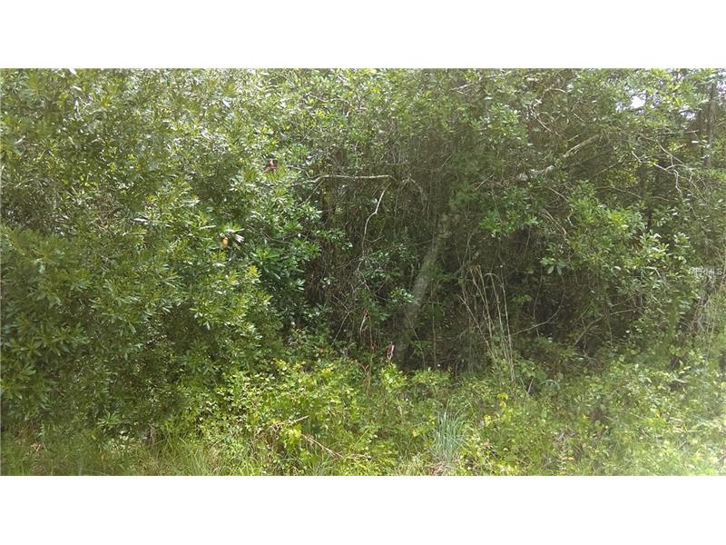 BERRY GROVES ROAD, Clermont, FL 34711