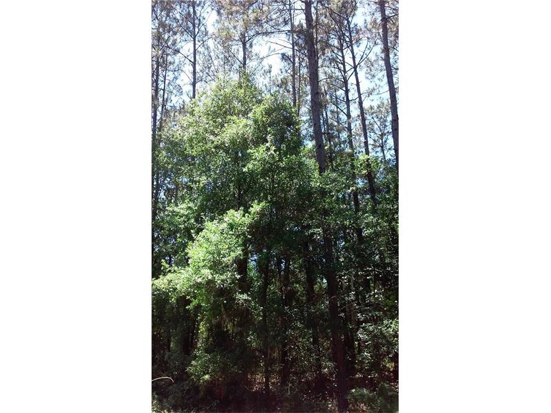 BERRY GROVES ROAD, Clermont, FL 34711