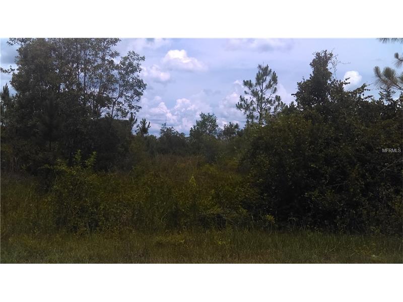 BERRY GROVES ROAD, Clermont, FL 34711