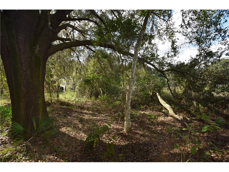 8501 PINE ISLAND RD, Clermont, FL 34711