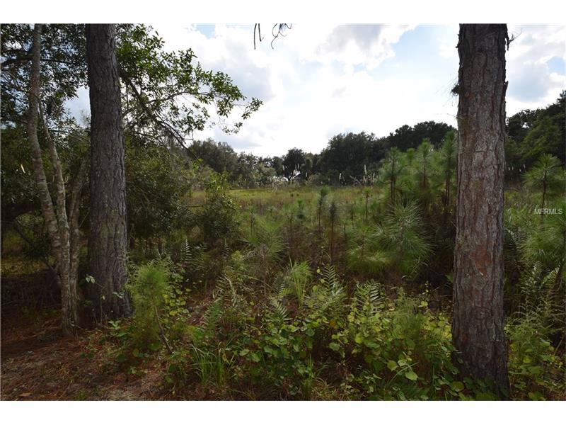 8501 PINE ISLAND RD, Clermont, FL 34711