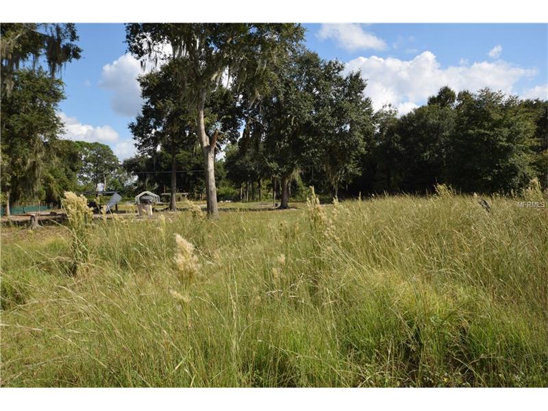 8501 PINE ISLAND RD, Clermont, FL 34711