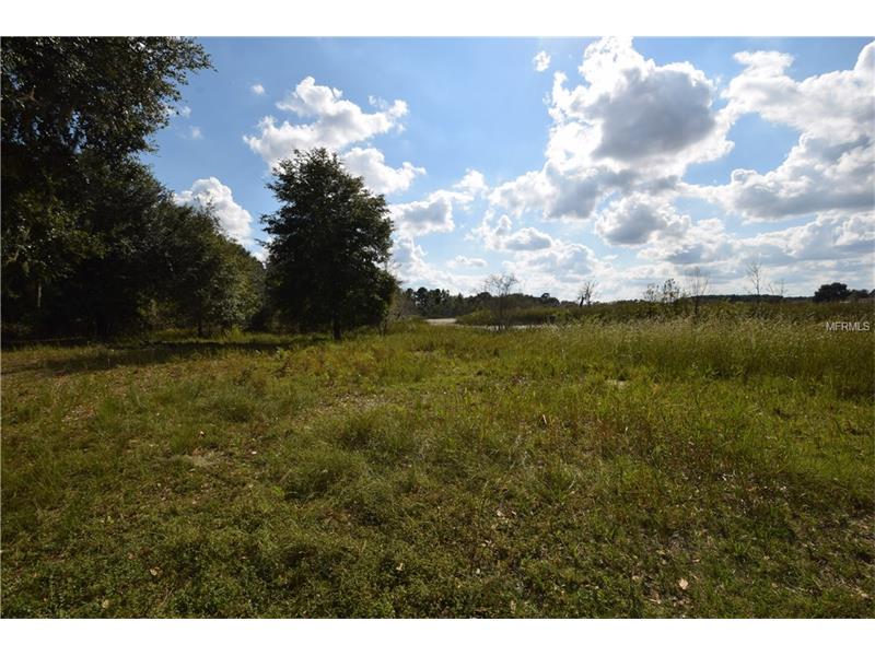 8501 PINE ISLAND RD, Clermont, FL 34711