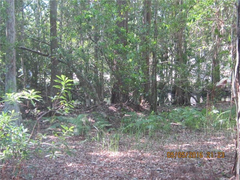 5430 LAKE NELLIE ROAD, Clermont, FL 34714