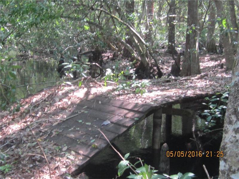 5430 LAKE NELLIE ROAD, Clermont, FL 34714