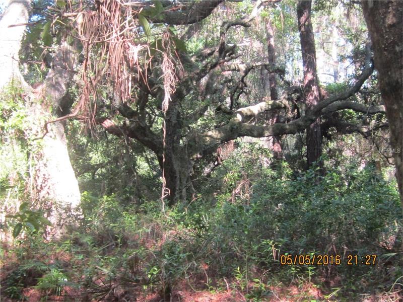5430 LAKE NELLIE ROAD, Clermont, FL 34714