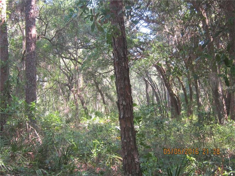 5430 LAKE NELLIE ROAD, Clermont, FL 34714