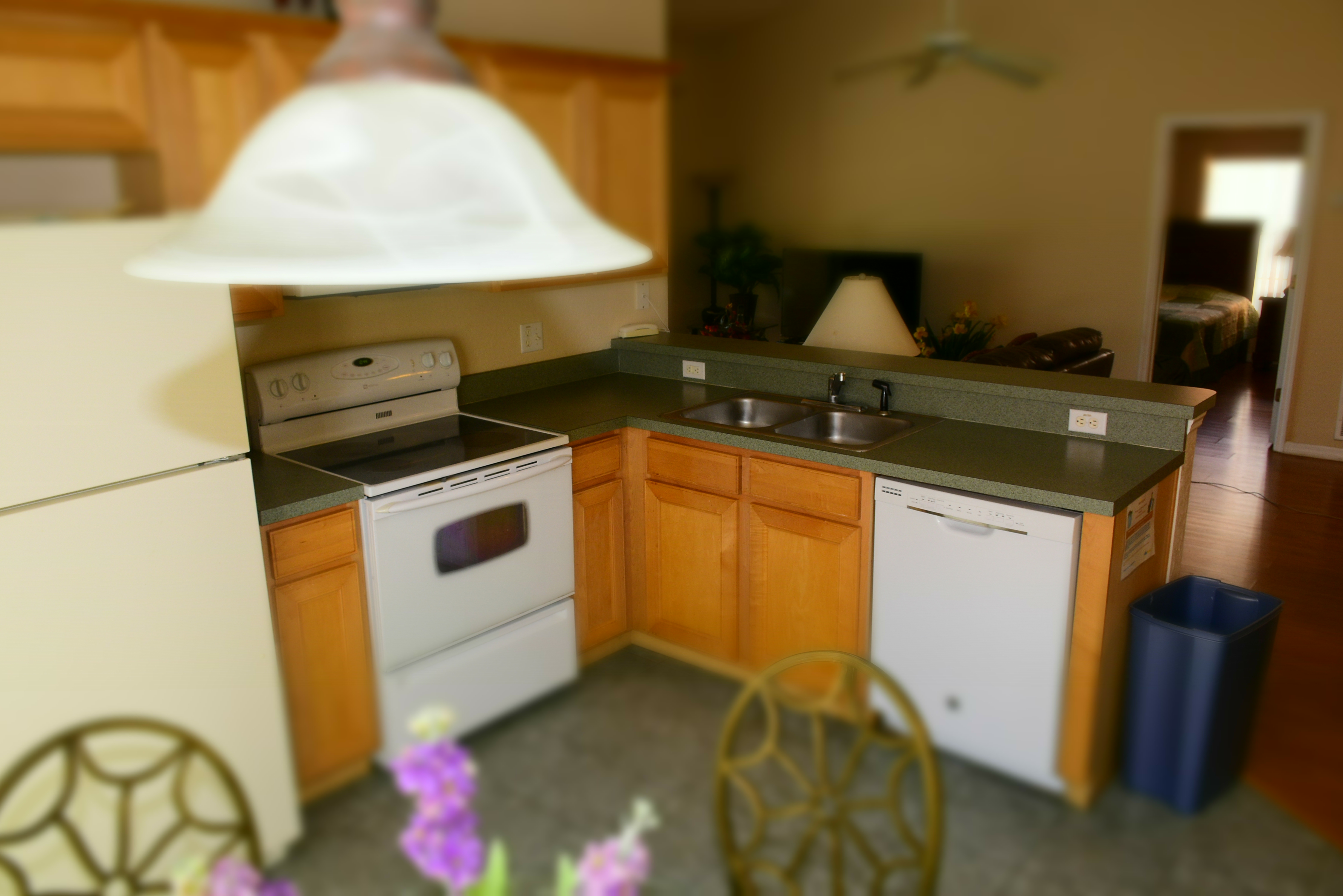 1339 Zureiq Ct, Clermont, FL 34714