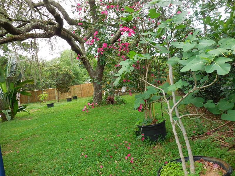 209 E PEARL STREET, Minneola, FL 34715