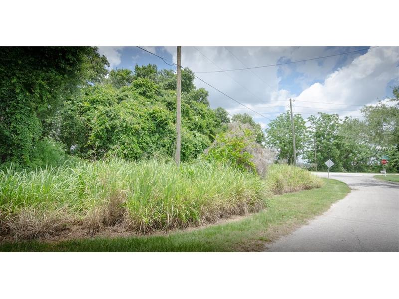 TOWER VIEW DRIVE, Minneola, FL 34715