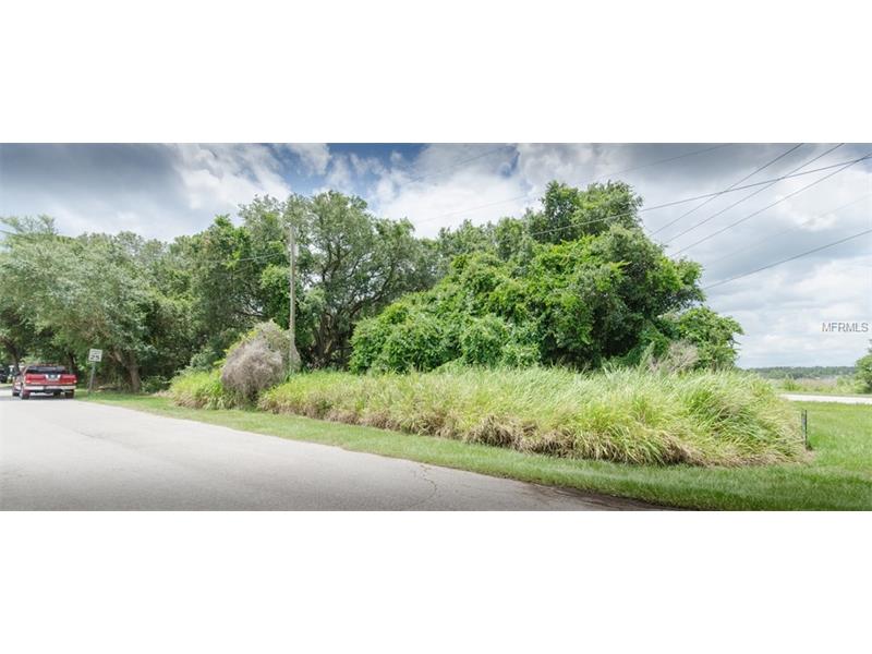 TOWER VIEW DRIVE, Minneola, FL 34715