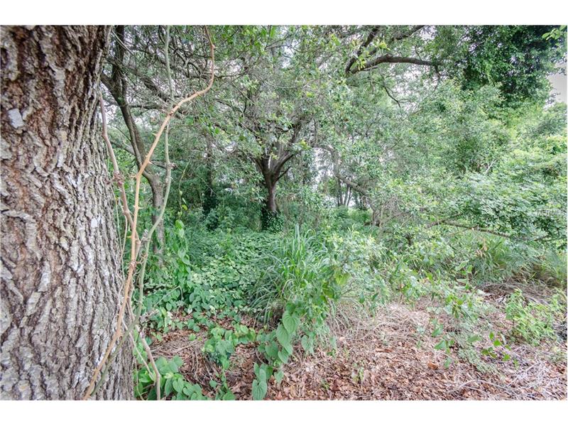 TOWER VIEW DRIVE, Minneola, FL 34715