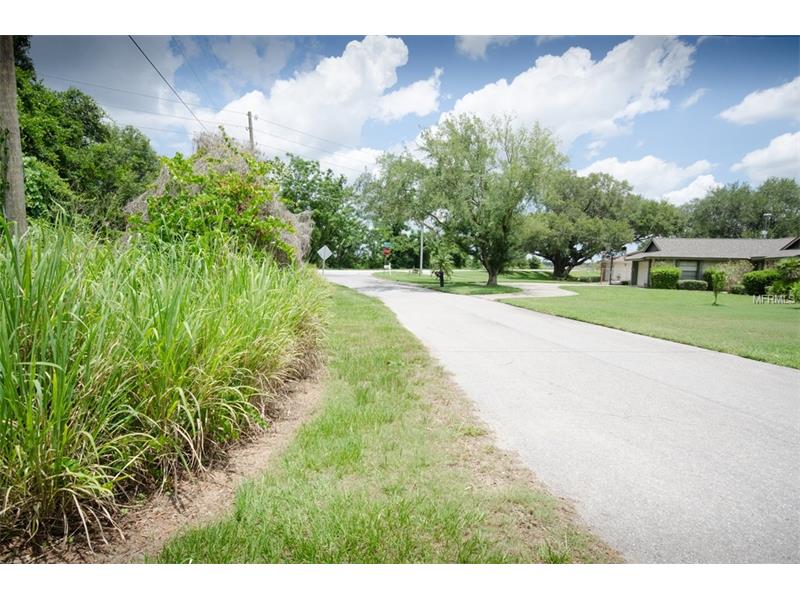 TOWER VIEW DRIVE, Minneola, FL 34715