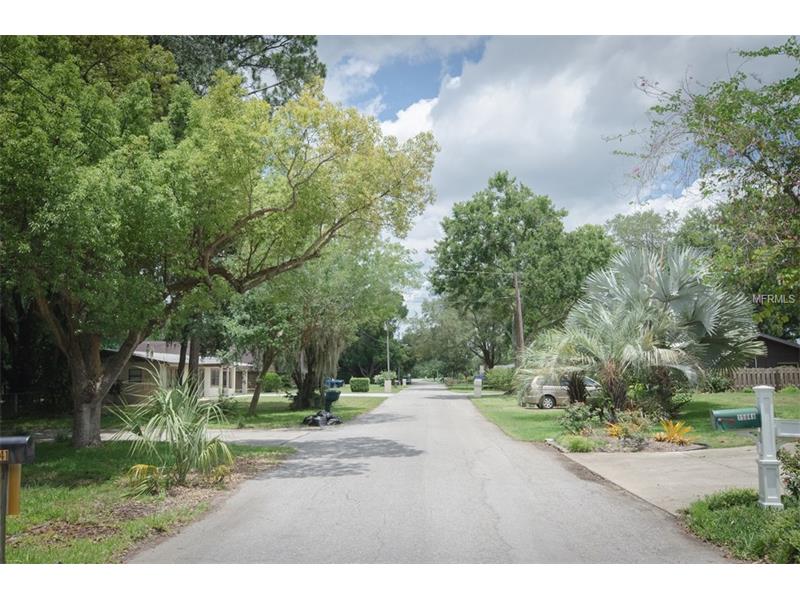 TOWER VIEW DRIVE, Minneola, FL 34715