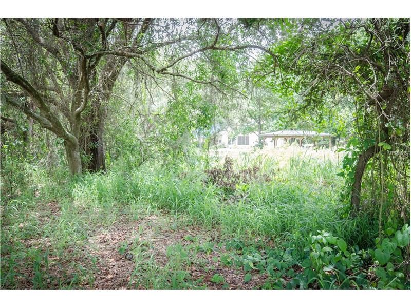 TOWER VIEW DRIVE, Minneola, FL 34715