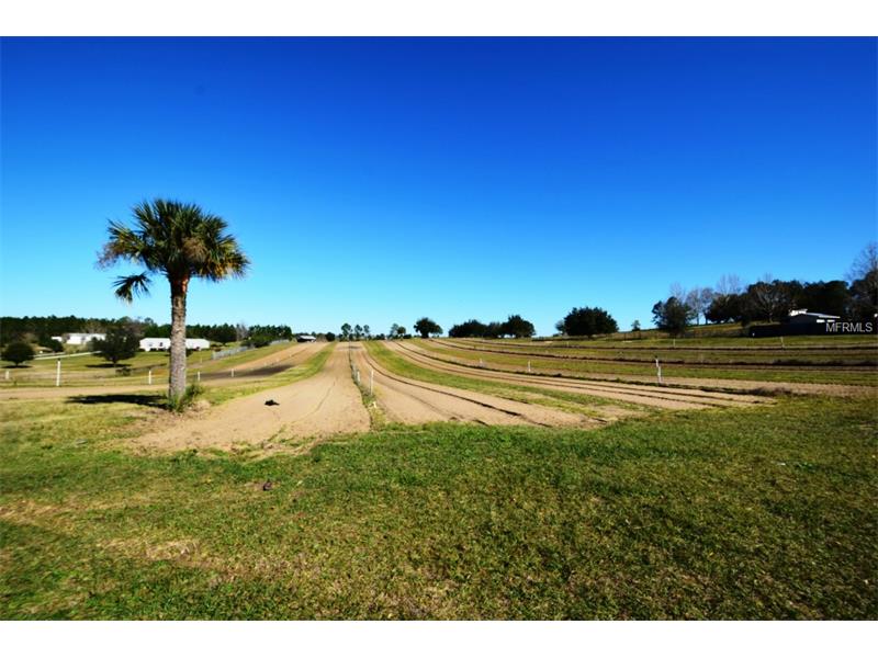 BRUCE HUNT RD, Clermont, FL 34715