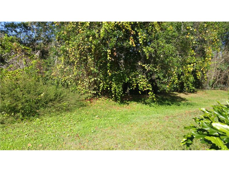 5339 OLD HICKORY LANE, Fruitland Park, FL 34731