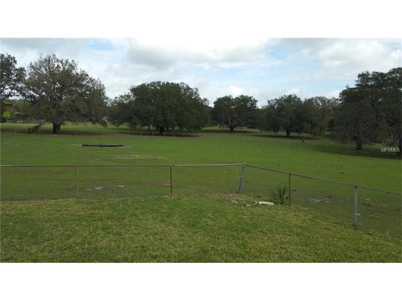 1387 SPRING LAKE ROAD, Fruitland Park, FL 34731