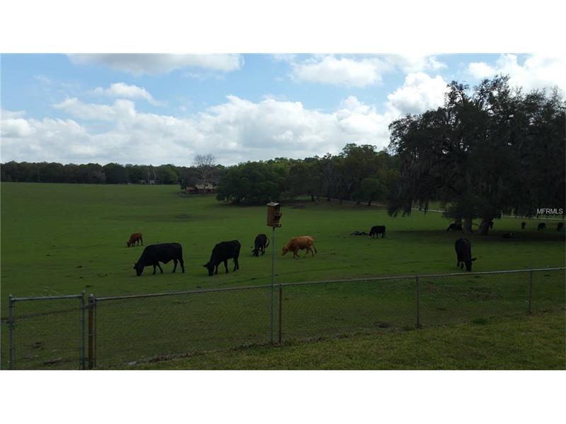 1387 SPRING LAKE ROAD, Fruitland Park, FL 34731