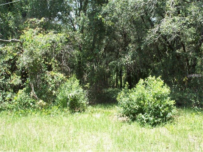 00000 DOGWOOD DRIVE, Fruitland Park, FL 34731