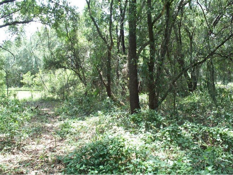 00000 DOGWOOD DRIVE, Fruitland Park, FL 34731