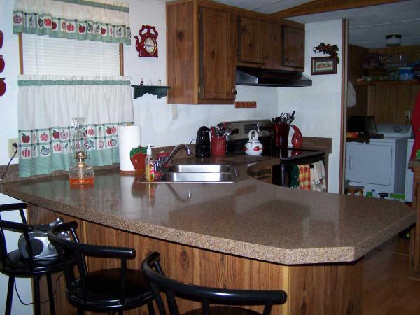 8315 Bay Lake Rd ,FL, Groveland, 34736