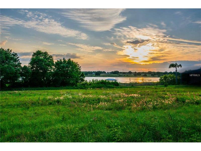 ROYAL PALM DR, Groveland, FL 34736