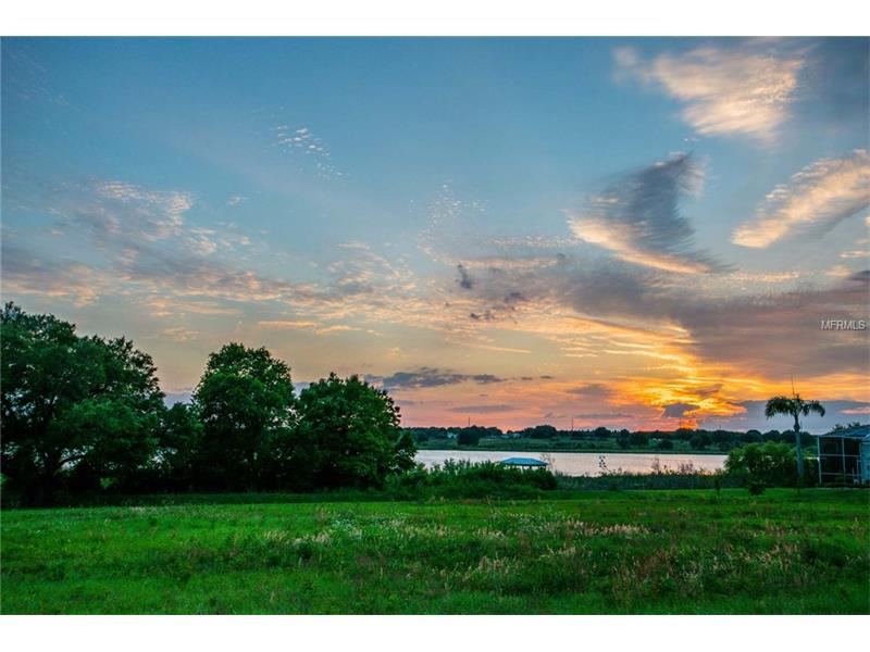 ROYAL PALM DR, Groveland, FL 34736