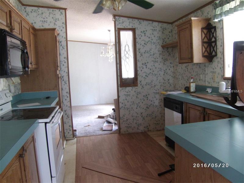 12417 BAILEY PALM DRIVE, Groveland, FL 34736