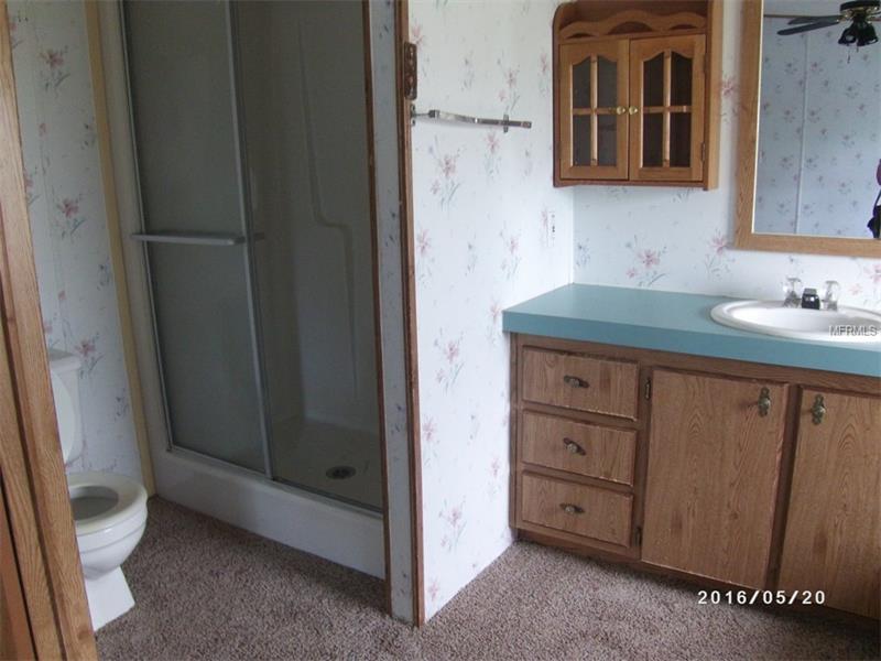 12417 BAILEY PALM DRIVE, Groveland, FL 34736