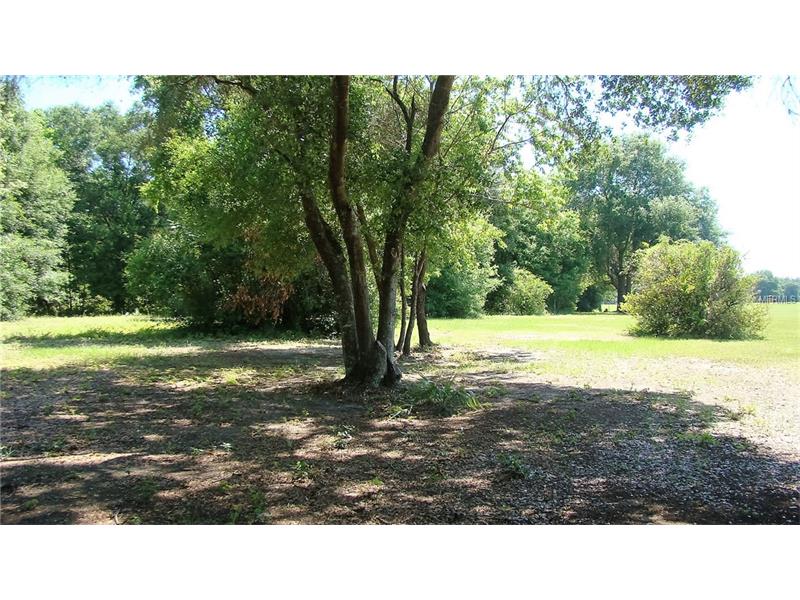 GROVELAND AIRPORT ROAD, Groveland, FL 34736