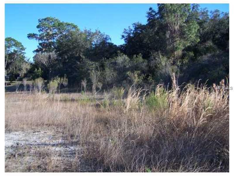LAKE EMMA ROAD, Groveland, FL 34736