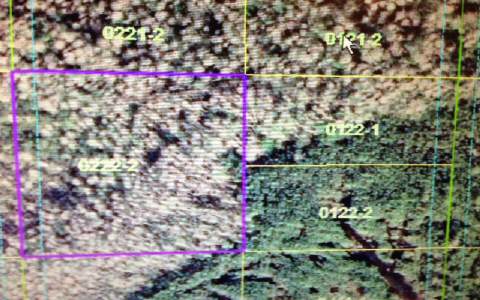 HOLOPAW GROVES RD, St. Cloud, FL 34742