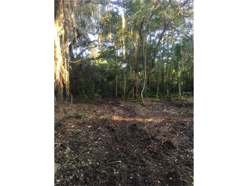 MAPLE RUN, Kissimmee, FL 34744