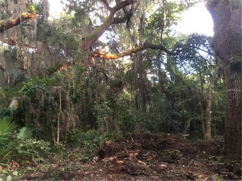 MAPLE RUN, Kissimmee, FL 34744