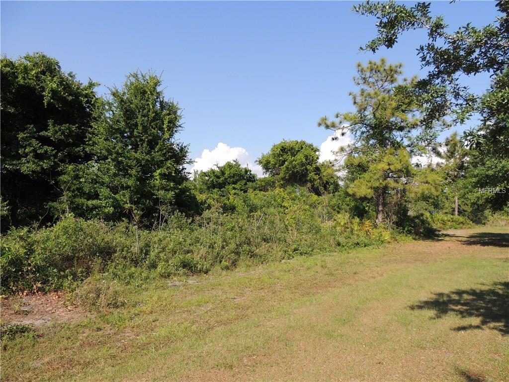 Ridge St, Kissimmee, FL 34744